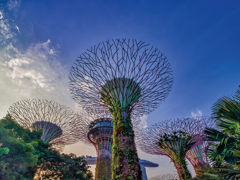 Singapour, ville verte et intelligente