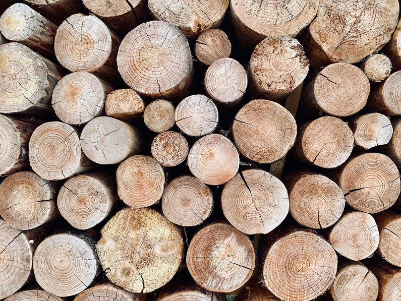 Le Canton de Vaud soutient les projets innovants dans la filière du bois