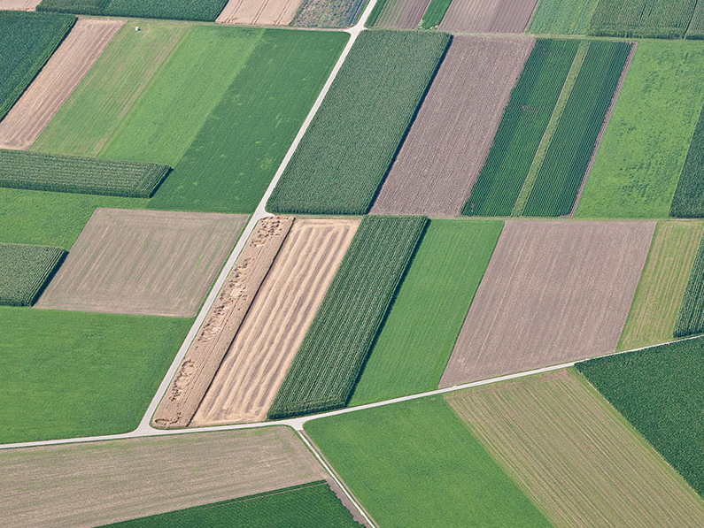 La Suisse dispose de suffisamment de bonnes terres agricoles pour garantir sa sécurité alimentaire